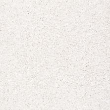 Anderson Tuftex SFA Glitzy Gem Glam 00101_949SF