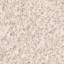 Anderson Tuftex SFA Manhattan Moment Berber Coastal 0112B_991SF