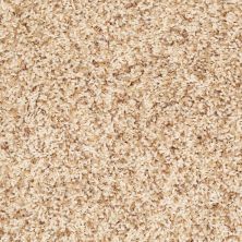 Anderson Tuftex SFA Manhattan Moment Berber Spice 0221B_991SF