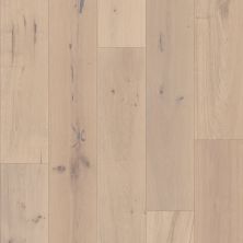 Shaw Floors Shaw Hardwoods Expressions Sonata 01163_SW707