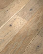 Shaw Floors Shaw Hardwoods Expressions Mural 05080_SW707