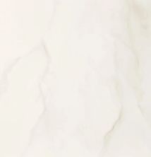Shaw Builder Flooring Toll Brothers Ceramics Wynnstone 36×36 Pl Bianco Covelano 00150_TL30E