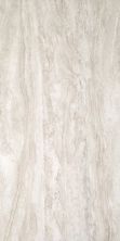 Shaw Builder Flooring Toll Brothers Ceramics Wynnstone 24×48 Pl Grigio 00151_TL31E