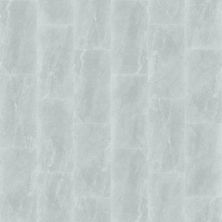 Shaw Floors Ceramic Solutions Arena 12×24 Silver 00150_221TS