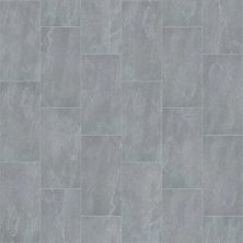 Shaw Floors Ceramic Solutions Arena 12×24 Grey 00500_221TS