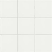 Shaw Floors Ceramic Solutions Diva 12×12 Plsh White 00100_CS03V
