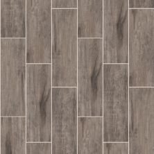 Shaw Floors Ceramic Solutions Olympia Plank Ash 00500_CS68Q