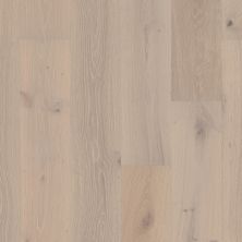 Shaw Builder Flooring Home Fn Gold Hardwood Kingston Oak Knight 01075_HW485
