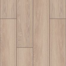 Shaw Floors Ceramic Solutions Moonstruck 9×47 Ardor 00150_523TS