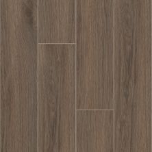 Shaw Floors Ceramic Solutions Moonstruck 9×47 Escape 00750_523TS