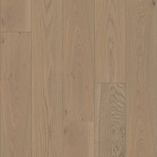 Shaw Floors Shaw Hardwoods Expressions 9.5″ Finesse 05101_SW754