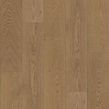 Shaw Floors Shaw Hardwoods Expressions 9.5″ Sustain 07121_SW754