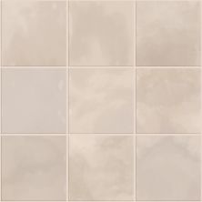 Shaw Floors Ceramic Solutions Eventide 6×6 Gloss Callisto 00125_434TS