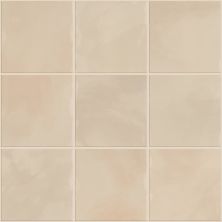 Shaw Floors Ceramic Solutions Eventide 6×6 Gloss Sublime 00150_434TS