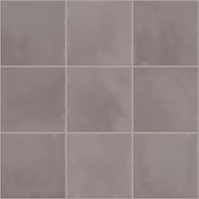 Shaw Floors Ceramic Solutions Eventide 6×6 Gloss Eminent 00500_434TS
