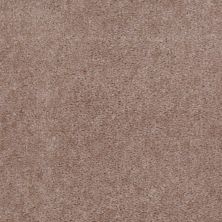 Shaw Floors Pioneer Timeless Taupe 51720_A3951