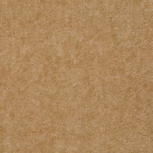 Shaw Floors Blazer II Apple Sauce 88210_A3988