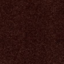 Shaw Floors Blazer II Chocolate Chip 88717_A3988