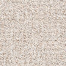 Shaw Floors Parade Of Stars 12 Brass