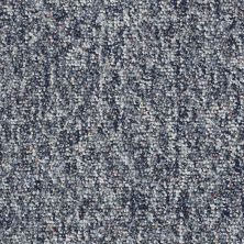 Shaw Floors Parade Of Stars 12 Navy Seals