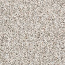 Shaw Floors Parade Of Stars 12 Infantry