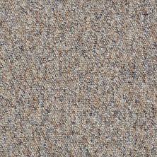 Shaw Floors Parade Of Stars 12 Harbor Mist