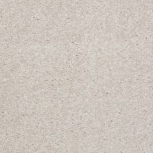Shaw Floors Debut Lilac 00101_A4468