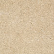 Shaw Floors Debut Toasted Coconut 00108_A4468