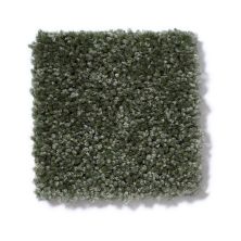 Shaw Floors Debut Topiary 00301_A4468