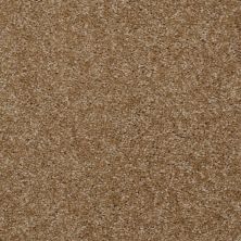 Shaw Floors Bonita Chino