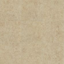 Shaw Floors Ashton Woods Homes Becton 13×13 Cafe 00700_A839S