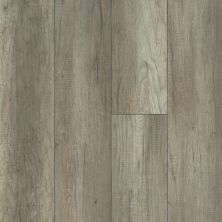 Shaw Floors Ashton Woods Homes Abby Crest Taupe Fusion 05037_A951S