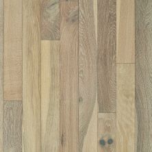 Anderson Tuftex Anderson Hardwood Raw 3 Frost 11037_AA819