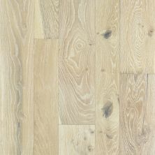 Anderson Tuftex Anderson Hardwood Raw Mixed Frost 11037_AA820