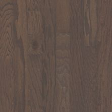 Shaw Floors Abbey Hardwood Everwood Run Oak 3.25 Weathered 00543_AF802