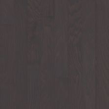 Shaw Floors Abbey Hardwood Everwood Run Oak 3.25 Charcoal 05013_AF802