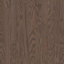 Shaw Floors Abbey Hardwood Everwood Run Oak 3.25 Kona Lg 07091_AF802