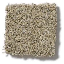 Anderson Tuftex Petprotect Oliver’s Twist Sand Dune ZZ01500223