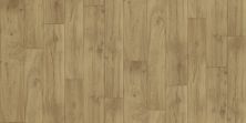 Shaw Floors Resilient Residential Wagner Surrey 00113_AR620