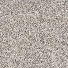 Shaw Floors Caress By Shaw Softly Surreal Classic II Cobblestone 0551A_BCC06