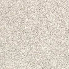 Shaw Floors Caress By Shaw Delicate Distinction Classic I Valley 0141B_BCC17