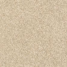 Shaw Floors Caress By Shaw Delicate Distinction Classic I Toasted Grain 0241B_BCC17