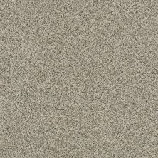 Shaw Floors Caress By Shaw Delicate Distinction Classic I Drizzle 0340B_BCC17