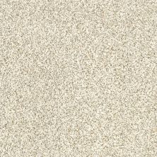 Shaw Floors Caress By Shaw Delicate Distinction Classic I Cliff 0144B_BCC18