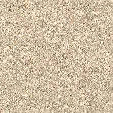 Shaw Floors Caress By Shaw Delicate Distinction Classic I Toasted Grain 0241B_BCC18