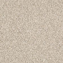 Shaw Floors Caress By Shaw Delicate Distinction Classic I Cricket Club 0143B_BCC19