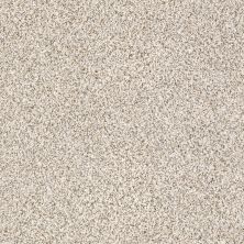 Shaw Floors Caress By Shaw Delicate Distinction Classic I Heath 0540B_BCC19