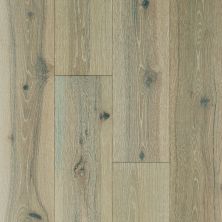 Shaw Floors Floorte Exquisite Beiged Hickory 01052_BF700