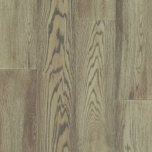 Shaw Floors Floorte Exquisite Brightened Oak 01057_BF700