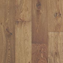 Shaw Floors Floorte Exquisite Warmed Oak 02040_BF700
